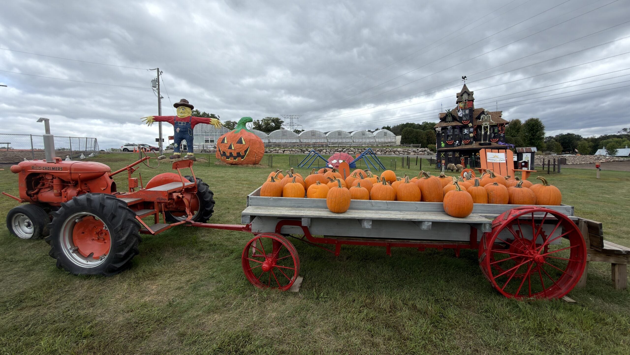Country Sun Farm’s Fall at the Farm — KSTP 5 — Gopher