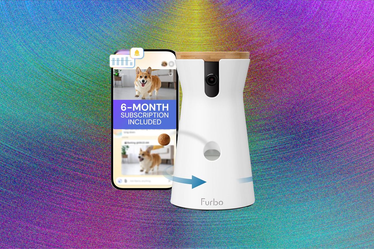 Best Pet Camera of 2026: Furbo, Petcube, and Enabot — Wired